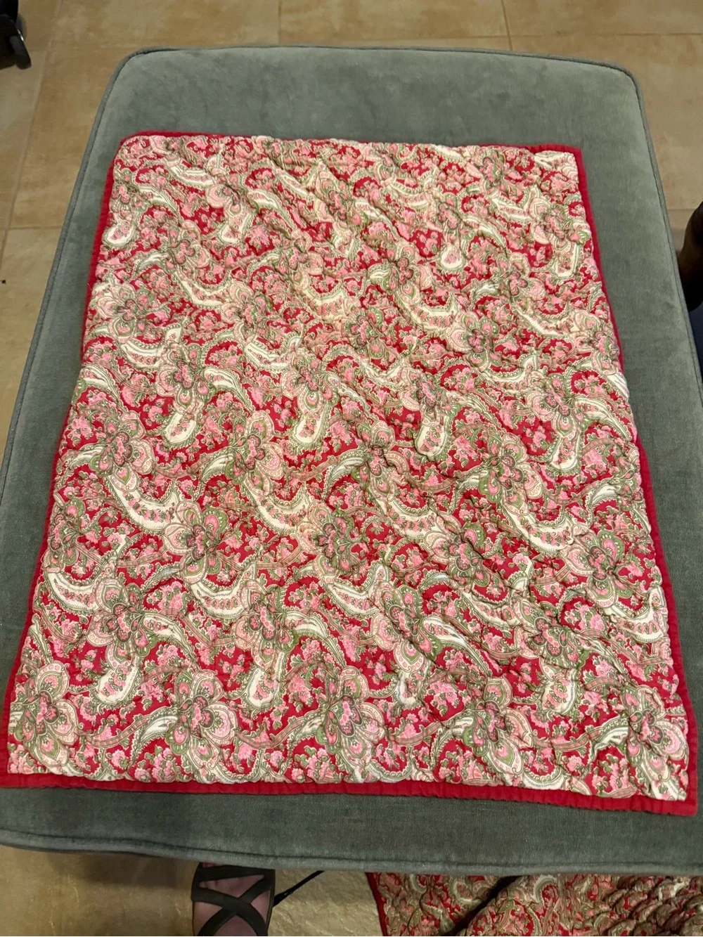 2 Pottery Barn Georgia Quilted Shams 20”x25” EUC